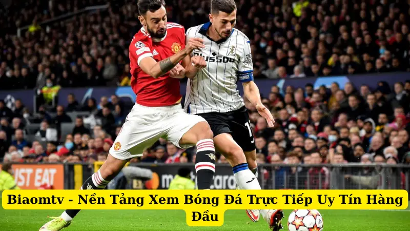 Biaomtv - Nền Tảng Xem Bóng Đá Trực Tiếp Uy Tín Hàng Đầu