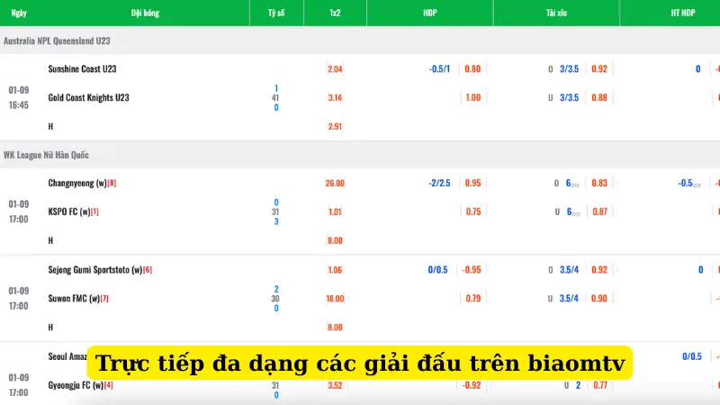 Bình luận viên chuyên nghiệp