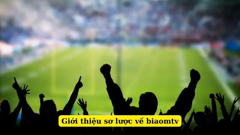 Giới thiệu sơ lược về biaomtv