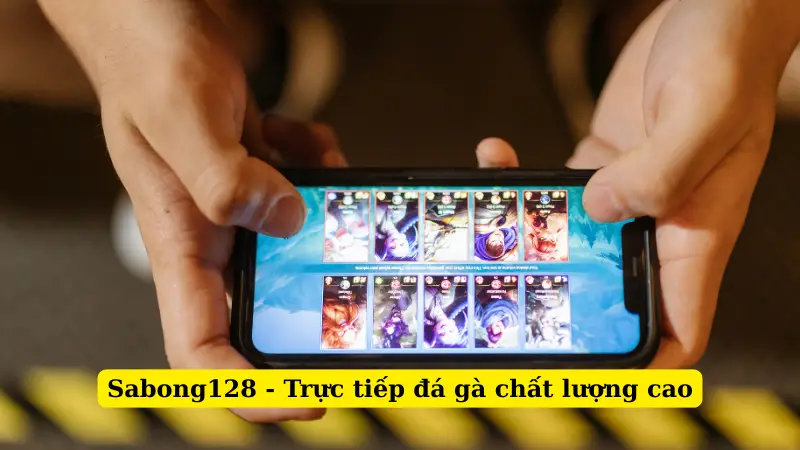 Sabong128 - Trực tiếp đá gà chất lượng cao